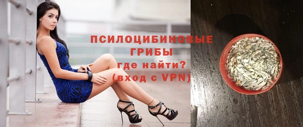 молекула духа Алексеевка