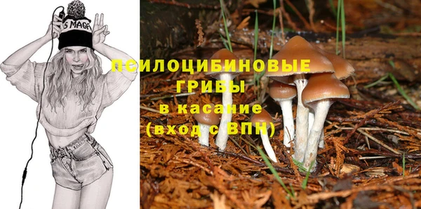 МДПВ Алзамай