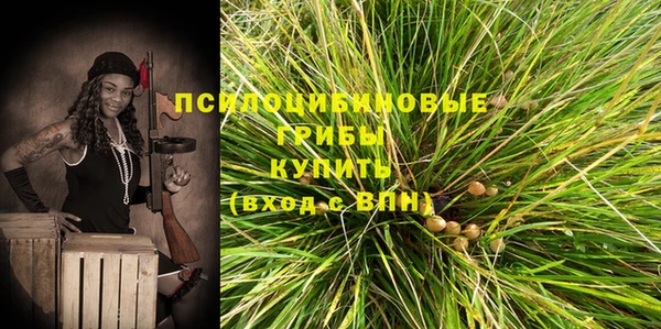 МДПВ Алзамай