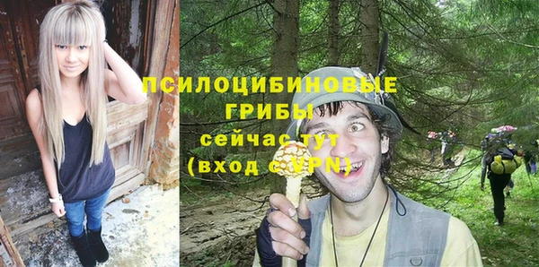 соль ск Саяногорск