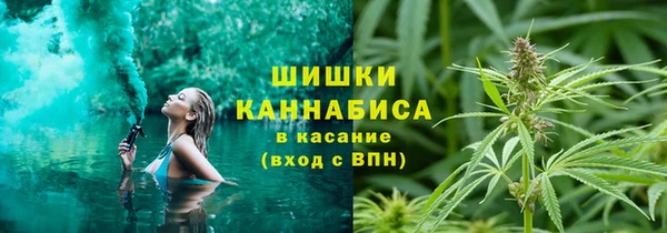 молекула духа Алексеевка
