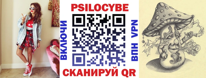 как найти закладки  Жиздра  Галлюциногенные грибы Psilocybe 