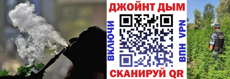 Каннабис индика Жиздра